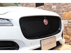 ƥڥ ӡر̣֡ţĥ饤ȡʥϥǥԣ֡ϡե쥶 0701965A30250623W001 6