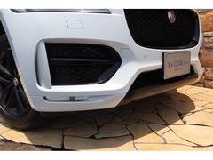 �ƥڥ��� �ӡ��ر�֡��̣ţĥ饤�ȡ������ʥ��ϥǥ��ԣ֡��ϡ��ե쥶�� 0701965A30250623W001 7