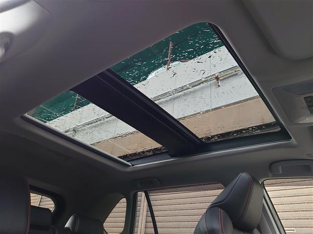 ＲＡＶ４ アドベンチャー　リヤカメラ　アルミ　クルーズＣ　ＬＥＤライト　１オーナー　イモビ　地デジ　ＥＳＣ　スマキー　ＰＳ　ＥＴＣ付き　ドラレコ付き　エアコン　４ＷＤ車　電動パワーシート　パワーウインドウ　サイドエアバッグ（30枚目）