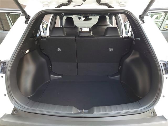 �׎������̍L���I��e�ʂ̃X�y�[�X���m�ۂ��Ă��܂��I�����������烌�W���[�܂Ŋ��􂵂Ă���܂�