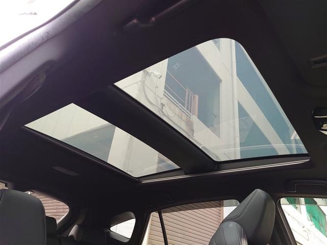 ハリアー Z レザーパッケージ TVナビ 1オーナー パノラマガラスルーフ 地上デジタル 盗難防止装置 革S パワ-シ-ト メモリナビ 横滑り防止機能 AUX ドラレコ付 エアバッグ Bモニター アルミ クルコン LED付 ABS(9枚目)