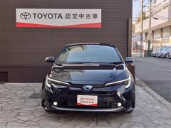 ���֥ȥ西�ȼ��Υ��󥰥���ݾڤĤ�����ǯ�ֵ�Υ̵���¤��󣶣����ܡ������������ʤ��оݡ�������˴��ֱ�Ĺ���ǽ�� 3