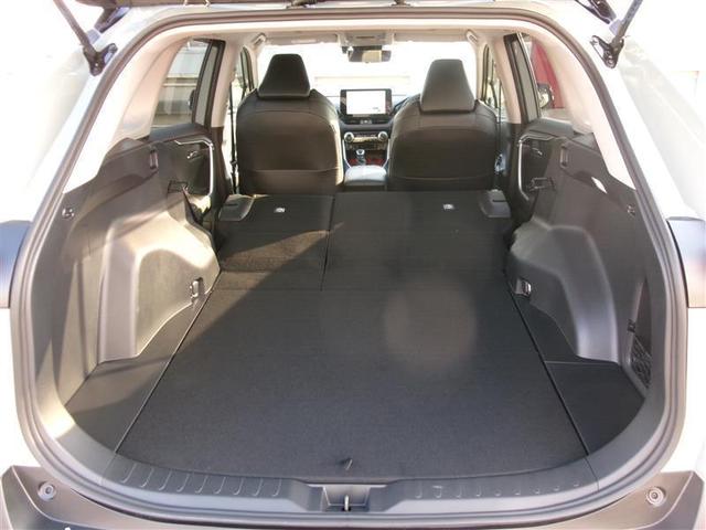 RAV4 アドベンチャー オフロードパッケージII トヨタ認定中古車 横滑り防止装置 地デジ 衝突被害軽減ブレーキ バックモニター ドライブレコーダー コネクティッドナビ アルミホイール オートクルーズコントロール LEDヘッドランプ 4WD キーレス(13枚目)