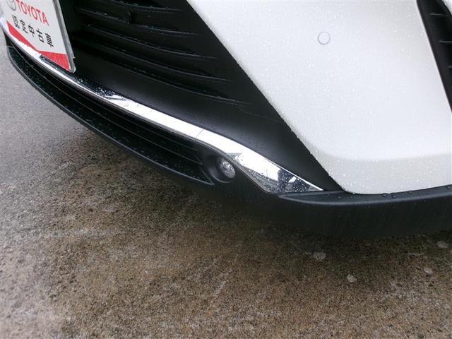 �t�����g�t�H�O�����v�́A�����������Ď��E�s�ǂ̎��͂������A�~�᎞��J�V���̎��E�m�ۂɂ��𗧂��܂��B�^���ÂȖ�̎R���Ȃǂł����ʂ𔭊����܂��B