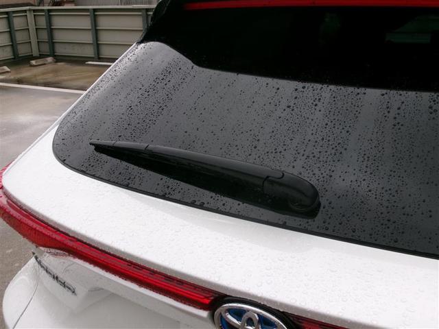 ���A���C�p�[�t���ł��̂ŁA�J�̓������S�̕K�{�A�C�e���ł��I