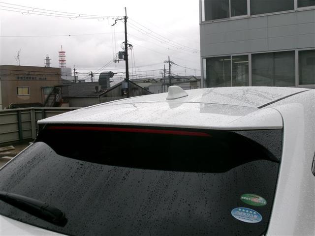 �{�f�B�J���[�Ɠ��F�̃��A�X�|�C���[�ŁA�����ڂ���������I