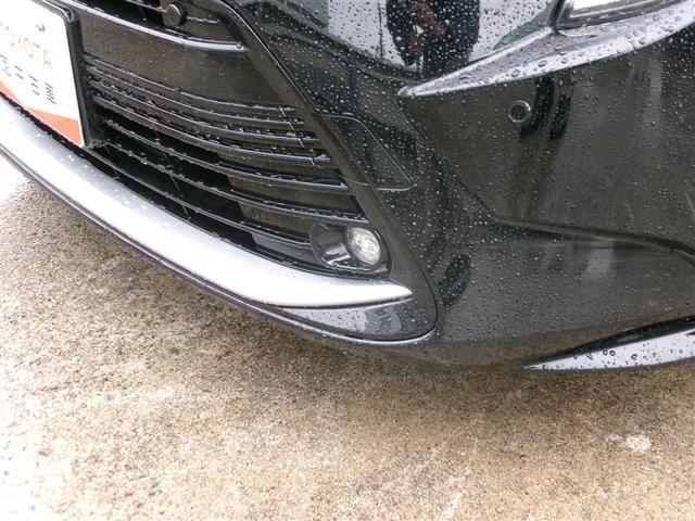 �t�����g�t�H�O�����v�́A�����������Ď��E�s�ǂ̎��͂������A�~�᎞��J�V���̎��E�m�ۂɂ��𗧂��܂��B�^���ÂȖ�̎R���Ȃǂł����ʂ𔭊����܂��B