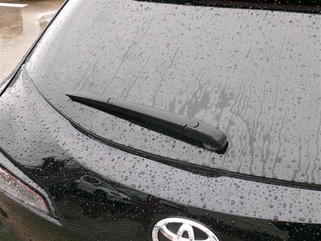 ���A���C�p�[�t���ł��̂ŁA�J�̓������S�̕K�{�A�C�e���ł��I