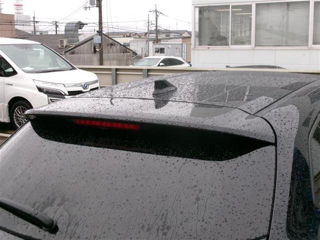 �{�f�B�J���[�Ɠ��F�̃��A�X�|�C���[�ŁA�����ڂ���������I