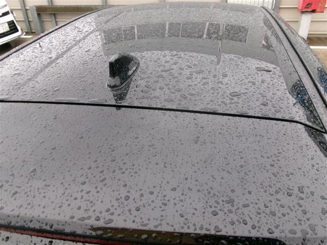 ���[�t�͖ڗ��L�Y��ւ��݂Ȃǂ͂Ȃ���Ԃł��B