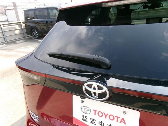 ���A���C�p�[�t���ł��̂ŁA�J�̓������S�̕K�{�A�C�e���ł��I