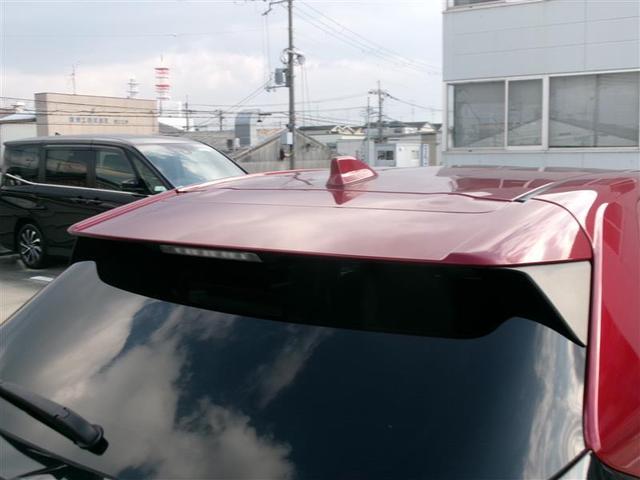 �{�f�B�J���[�Ɠ��F�̃��A�X�|�C���[�ŁA�����ڂ���������I