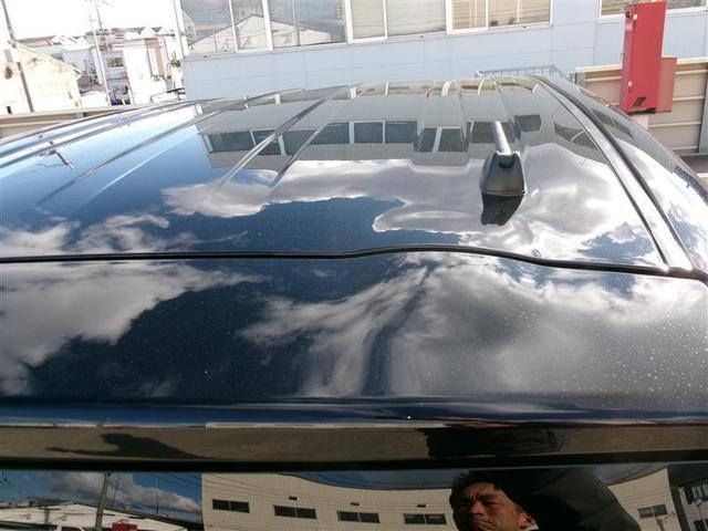 ���[�t�͖ڗ��L�Y��ւ��݂Ȃǂ͂Ȃ���Ԃł��B