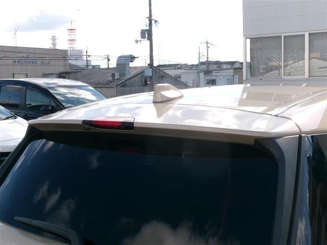 �{�f�B�J���[�Ɠ��F�̃��A�X�|�C���[�ŁA�����ڂ���������I