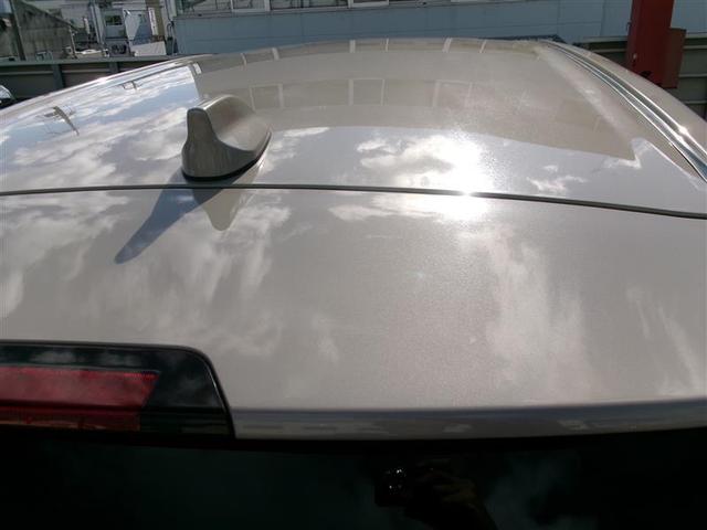 ���[�t�͖ڗ��L�Y��ւ��݂Ȃǂ͂Ȃ���Ԃł��B