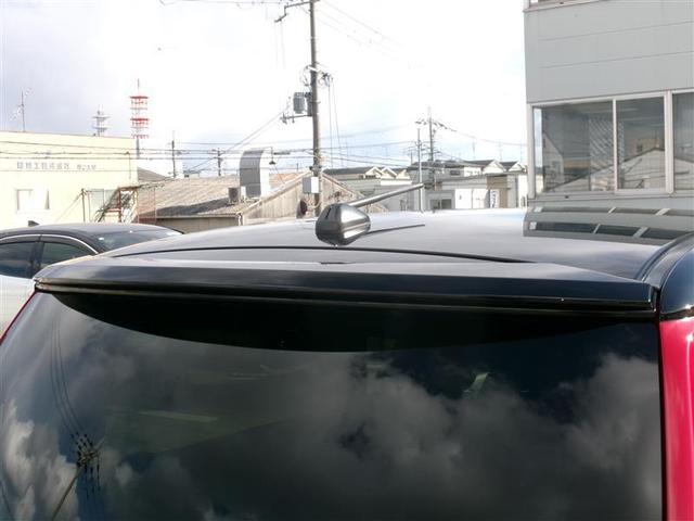 �{�f�B�J���[�Ɠ��F�̃��A�X�|�C���[�ŁA�����ڂ���������I