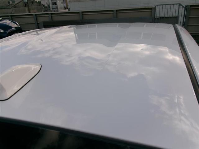 ���[�t�͖ڗ��L�Y��ւ��݂Ȃǂ͂Ȃ���Ԃł��B