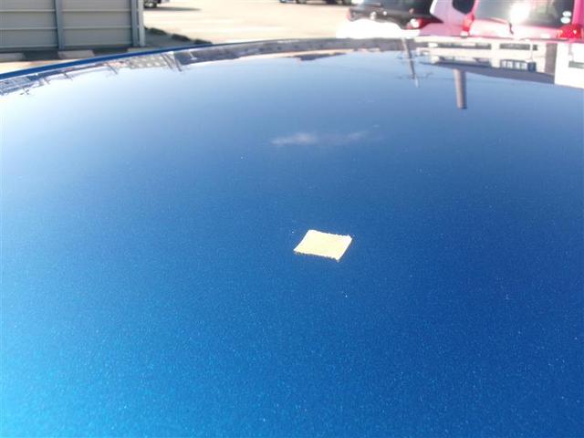 ���[�t�O���ɃL�Y������܂��B