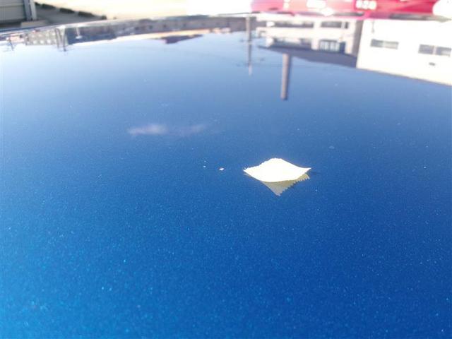 ���[�t�����t�߂ɂւ��݂𔺂��L�Y������܂��B