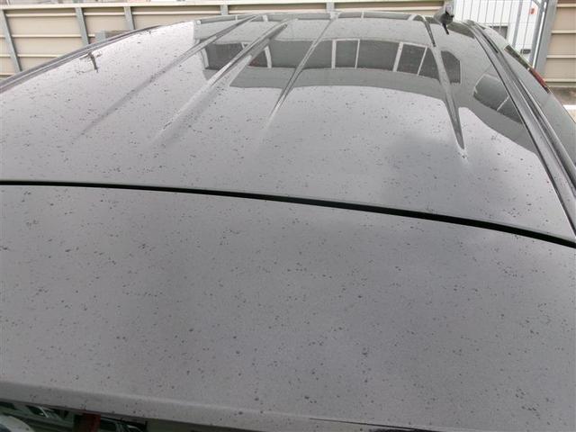 ���[�t�͖ڗ��L�Y��ւ��݂Ȃǂ͂Ȃ���Ԃł��B