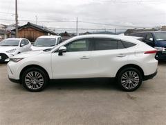 ȥ西ǧż֤ˤʤޤޤ뤴ȥ꡼˥󥰤Ǹʤʬޤ뤴Ƥޤ 2