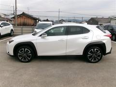 ȥ西ǧż֤ˤʤޤޤ뤴ȥ꡼˥󥰤Ǹʤʬޤ뤴Ƥޤ 2