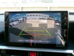 Хå˥դǤΤǡ֤Ϥ󡢿ͤ㳲ʪʤɤǳǧǤΤǰ¿Ǥ֤ˤʤޤΤǡܻǤ⤴ǧ 6