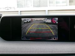 �Хå���˥����դ��Ǥ��Τǡ��������֤Ϥ�����󡢿ͤ�㳲ʪ�ʤɤ�����ǳ�ǧ�Ǥ���Τǰ¿��Ǥ�����������֤ˤʤ�ޤ��Τǡ��ܻ�Ǥ⤴��ǧ���������� 6