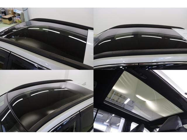 �傫�ȃK���X�ʂŌ����炵���悭�A�J������^���Ă����p�m���}���[�t�𑕔��B���肶��Ƃ����^�Ẳ��V���̓��˂����R���g���[������d���J���̃T���V�F�[�h������Ă��܂��B