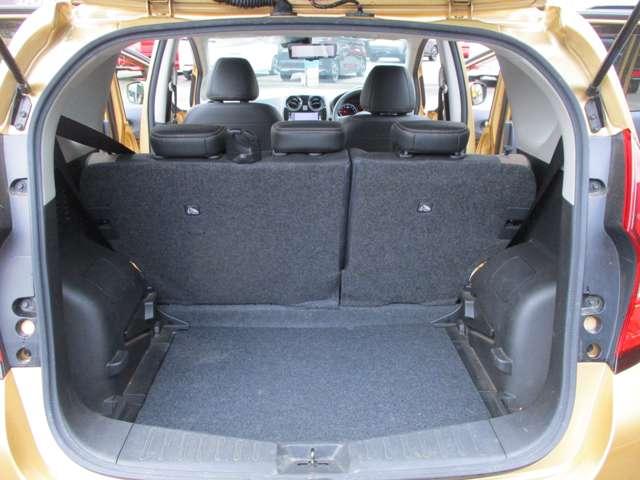 ���i�g���ɂ͏\���ȍL���̃��Q�b�W���[���ł��B