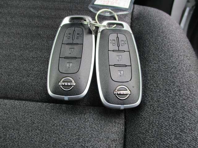 セレナ ２．０　ハイウェイスターＶ　アラウンドビューモニター・ドライブレコー　地上デジタル　ＬＫＡ　追従クルーズ　アイドリングＳ　スマートキー＆プッシュスタート　両側自動ドア　３列シート　Ｂカメラ　ＥＴＣ装備　ドラレコ　エアコン　ＡＢＳ（20枚目）