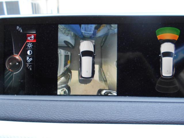 Ｘ５ ｘＤｒｉｖｅ　３５ｄ　Ｍスポーツ　１年保証　禁煙車　ブラックレザーシート　アダプティブクルーズコントロール　パノラマサンルーフ　インテリジェントセーフティ　全方位カメラ　ＥＴＣ　アダプティブＬＥＤヘッドライト　純正ＨＤＤナビ（16枚目）