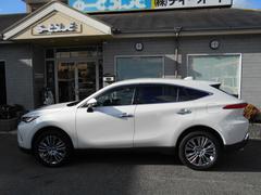 �ϥꥢ�� �ڡ��쥶���ѥå���������ǯ�ݾڡ��ر�֡����������ʥ� 0702081A30251222W001 3