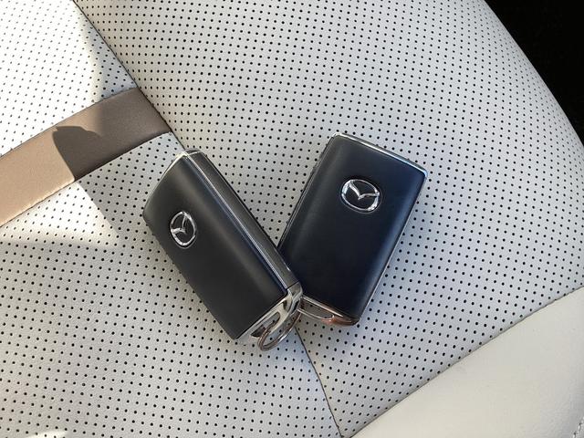 ＣＸ－６０ ３．３　ＸＤ　エクスクルーシブ　モード　ディーゼルターボ　４　ナビＳＤカード　３６０°ビュー　ＢＯＳＥ　フルセグＴＶチューナー　Ｂｌｕｅｔｏｏｔｈ　ＵＳＢ端子　ＥＴＣ　パドルシフト　パワーシート　シートヒータ　シートベンチレーション　ハンズフリーパワーリアゲート（34枚目）