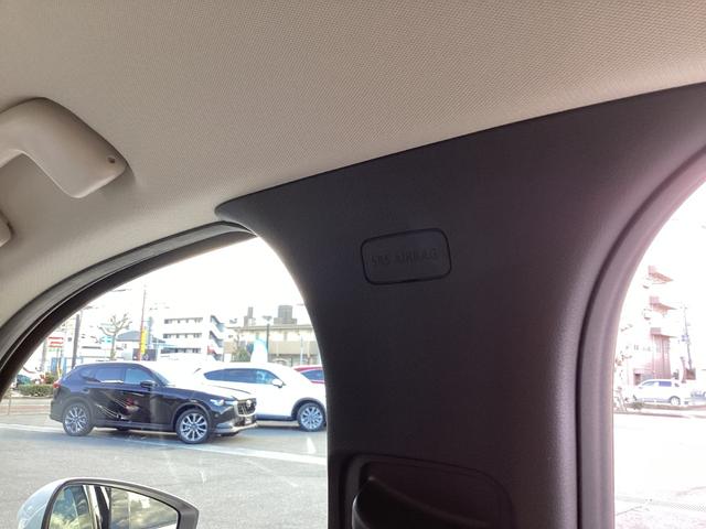 ���S�̃J�[�e���G�A�o�b�N�̓Z���^�[�s���[�ɓ������Ă��܂��B