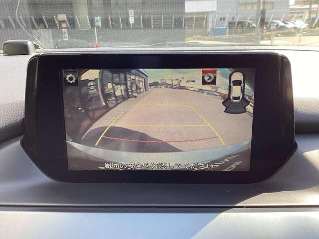 �֗��ȃo�b�N�J�������ڂŁA����m�F�����S�ł���킩��₷���K�C�h���C���t����