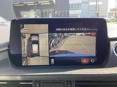 ٥ӥ塼˥ĤΥ庸ױɽɥ饤СϸʤΰδǧΤ򥵥ݡȤ륷ƥܡ 5