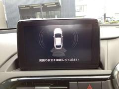 ꥢ¦㳲ʪ󥵡㳲ʪΤޥĥͥȥ˥˰֤ɽΤǰ¿Ǥ 6