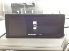 �ꥢ¦�㳲ʪ���󥵡��������㳲ʪ���Τ�����ޥĥ����ͥ��ȥ�˥����˰��֤�ɽ�������Τǰ¿��Ǥ� 6