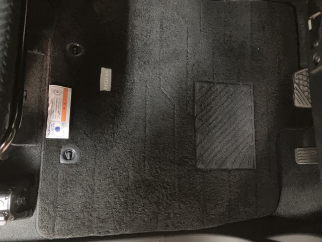 カーペットマットも装備です！