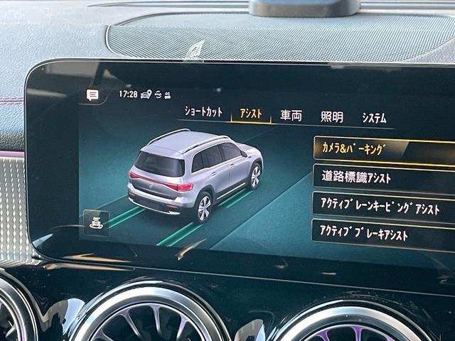 ＥＱＢ２５０　ＡＭＧラインパッケージ　ローズゴールド　ＡＭＧラインパッケージ　ＥＶ電気自動車　ＥＱケア継承(45枚目)