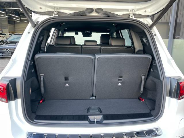 ＥＱＢ ＥＱＢ２５０　ＡＭＧラインパッケージ　ＡＭＧラインパッケージ　　ＥＱケア継承　ＥＶ電気自動車（63枚目）