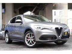 ���ƥ������ �ե������ȥ��ǥ�����������ļ֡��ȣɣġ��١�����쥶�������� 0702123A30251219W002 3