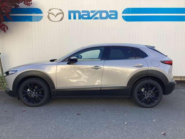 CX-30 2.0 20S ブラック セレクション(11枚目)