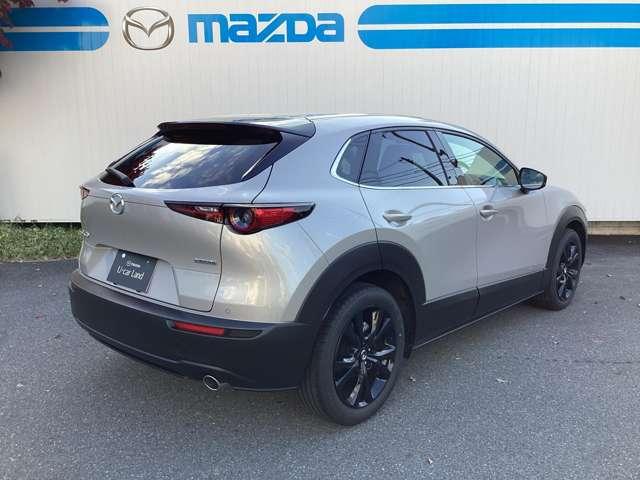 CX-30 2.0 20S ブラック セレクション(14枚目)