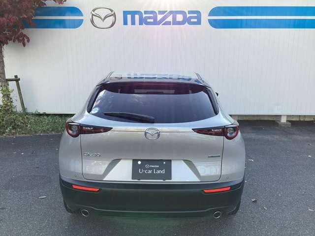 CX-30 2.0 20S ブラック セレクション(15枚目)