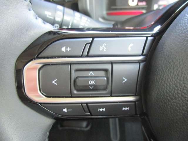 フレアワゴンカスタムスタイル ６６０　カスタムスタイル　ＸＳ（14枚目）