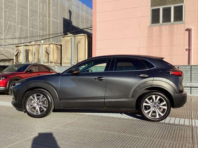 ＣＸ－３０ ２．０　２０Ｓ　プロアクティブ　マツダ認定中古車　衝突被害軽減ブレーキ　コ（18枚目）