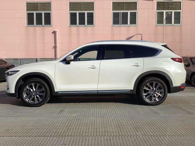 �����A���~�őS�̓I�Ƀf�U�C�����܂Ƃ܂��Ă��܂��B�Ԃ��l���A�I�V�����͂܂��͑�������ł��ˁB