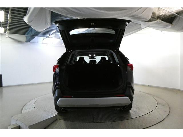 RAV4 アドベンチャー リヤカメラ アルミ クルーズC ナビテレビ LEDライト イモビ 地デジ ESC スマキー PS ETC付き エアコン 4WD車 電動パワーシート パワーウインドウ サイドエアバッグ ABS キーレス(9枚目)